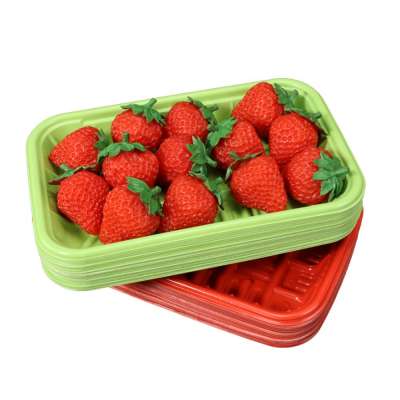 custom disposable blister frozen meat food packaging container PP red supermarket strawberry plastic trays