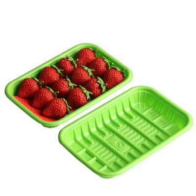 disposable PP blister Grass green Strawberry plastic trays supermarket frozen meat food packaging container