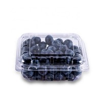 Clamshell Plastic Blister PET blueberry vegetable Boxes fruit punnet vegetable container