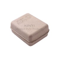 Eco friendly custom paper pulp molded packaging box